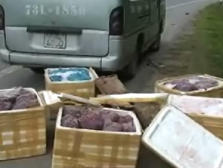 Lòng lợn bẩn tấn công dân thành phố