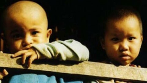 Thủ tục xin trợ cấp mồ côi cho cháu nội