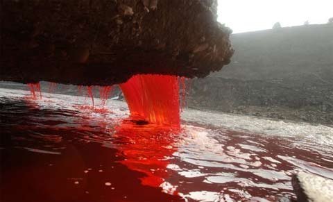 Kinh hoàng dòng sông chảy máu ở Trung Quốc