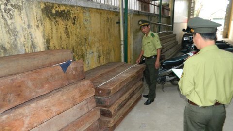 Liên tiếp bắt gỗ rừng vận chuyển đường sông