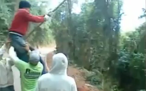 Cư dân mạng phát hoảng vì teen nghịch dại