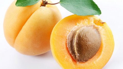 Quả mơ - vị thuốc quen thuộc từ thiên nhiên