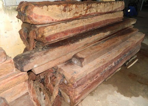 Gỗ lậu vô chủ trong chợ hoa quả