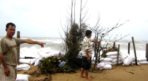 Triều cường uy hiếp làng biển