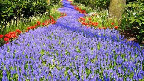 10 công viên đô thị đẹp nhất thế giới