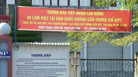 Đưa người sang Hàn Quốc... gọt khoai