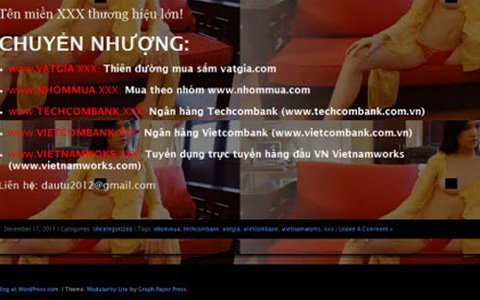 Tên miền .XXX của doanh nghiệp VN được rao bán