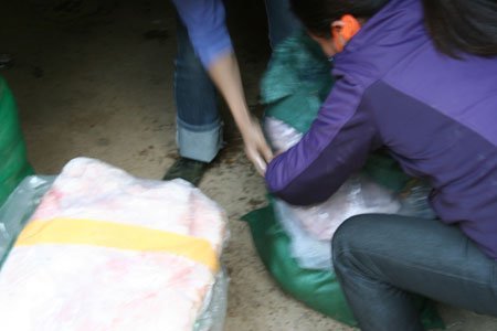 Muôn ngả về xuôi của nội tạng thối