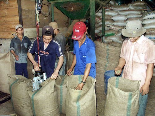Việt Nam lép vế từ que tăm, đôi đũa