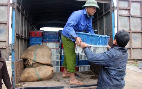 Bắt xe tải chở gần 2 tấn động vật hoang dã