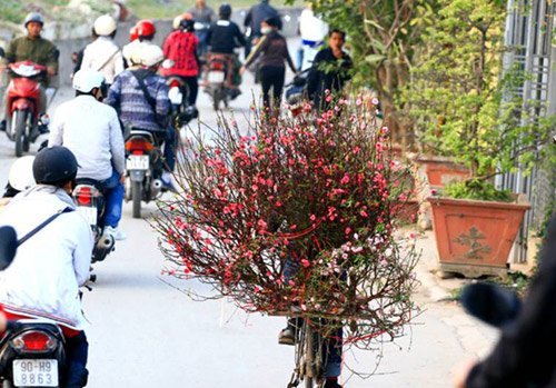 Tết Nguyên đán được nghỉ 9 ngày