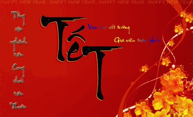 Tết này anh chưa về