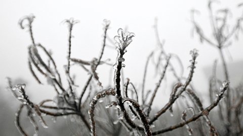 Mẫu Sơn lạnh -0,4 độ, xuất hiện băng giá