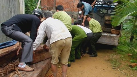 Bắt 2 vụ gỗ lậu về TP. Quảng Ngãi dịp Tết