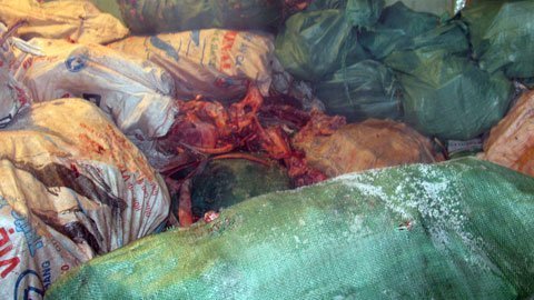 Giáp Tết, thịt thối tràn lan