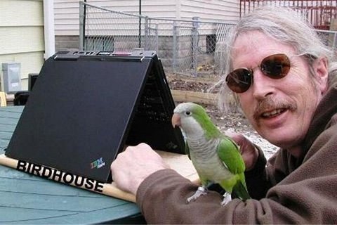 Những quái chiêu 