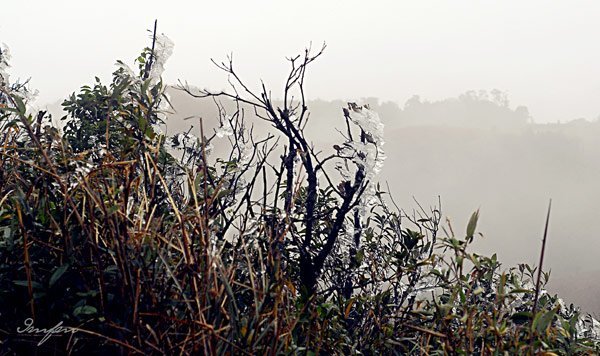 Nóng trong ngày: Phẫn nộ chủ hành hạ giúp việc