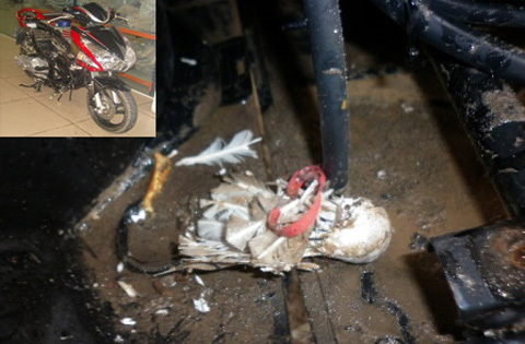 Xác định ‘thủ phạm’ gây cháy xe Honda ở Bắc Ninh