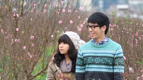 Đổ xô đi chụp ảnh hoa đào Nhật Tân