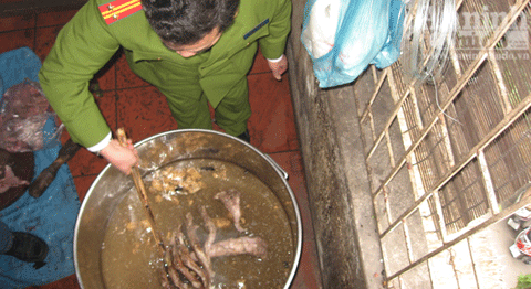 Bắt quả tang xẻ thịt, róc xương hổ giữa thủ đô