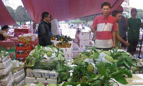 Trái cây 'khủng' đón Tết