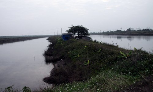 'Đoàn Văn Vươn đã vi phạm pháp luật, nhưng...'