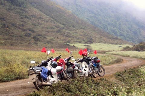 Vượt giá lạnh “săn” cải trắng Mộc Châu