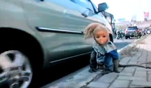 Con khỉ trong bộ đồ búp bê đi xin tiền