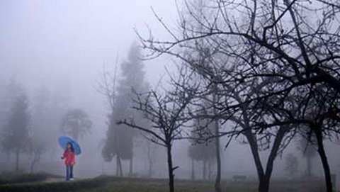 Miền Bắc rét đậm đến Tết Nguyên đán