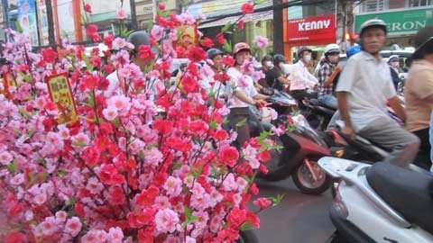 TP.HCM: Hoa giả bán chạy, hoa thật ngắc ngứ