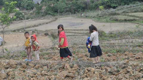 Lời ru buồn nơi xóm 'vô địch…đẻ'