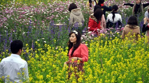 Hot girl Thủ đô đua nhau khoe sắc cùng hoa Tết