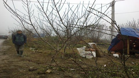 Kỳ công chơi Tết