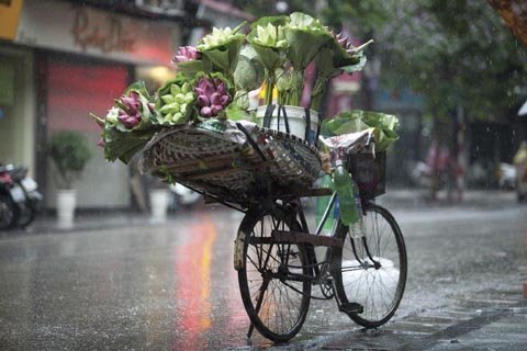 Ý nghĩa và sự may mắn của tết