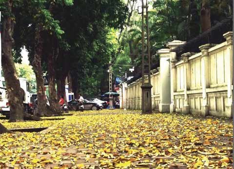 Từ phòng văn một người Hà Nội