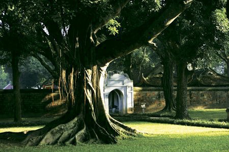 “Qua đình ngả nón trông đình”