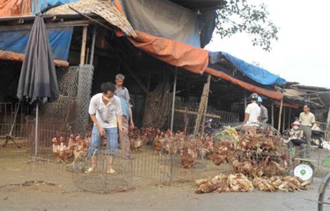 Mua thực phẩm Tết rẻ nhất ở đâu?