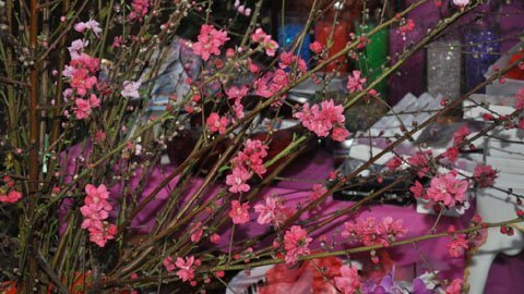 Rộn ràng chợ xuân ở phố người Việt trên đất Mỹ