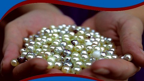 Người 20 năm đắm đuối với hồn ngọc Hạ Long