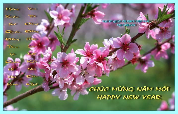 Câu đối Tết đặc biệt ở đất nước Do Thái