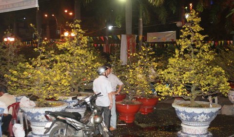 Sài Gòn đêm cuối năm không ngủ