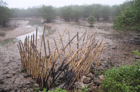 Vụ cưỡng chế: Phải tính đến mồ hôi, nước mắt dân