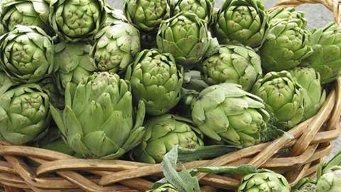 Giải độc cơ thể với Atiso