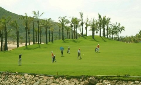 Golf bần nông