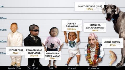 Cụ ông 72 tuổi cao 56 cm