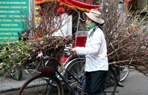 Bất ngờ thú chơi “lộc sót” sau Tết của người Hà Nội