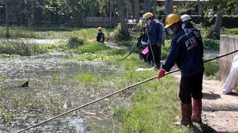 Cá chết hàng loạt, 'thủ phạm' bồi thường cho dân