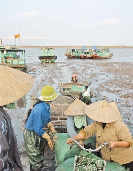 Bên đê lấn biển: Thi gan cùng sóng dữ (Kỳ 1)