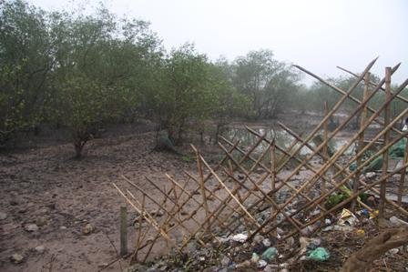 Toà hủy 2 quyết định liên quan đến ông Vươn