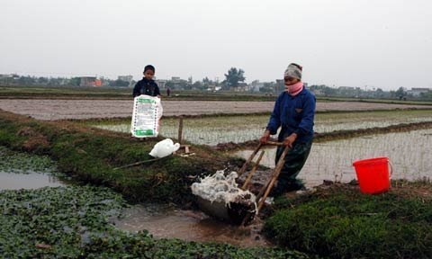 Bên đê lấn biển: Phận người nơi đầu sóng (Kỳ 3)
